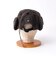 【halo commodity/ハロ コモディティー】h263-3003 Lock Flap Cap