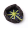 【halo commodity/ハロ コモディティー】h263-5003 Lock Beret