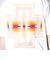 【PENDLETON/ペンドルトン】バックプリントTシャツ ワンポイントロゴ