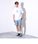 【新柄追加】【GLOSTER/グロスター】DOG&CAT 犬猫プリントTシャツ