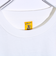 【COBMASTER/コブマスター】吸水速乾 旅するベアーTシャツ フロントプリント