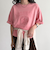 ピグメント刺繍クロップドTシャツ