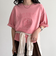 ピグメント刺繍クロップドTシャツ