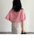 ピグメント刺繍クロップドTシャツ