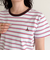 ボーダー/無地ワンポイントロゴコンパクトTシャツ