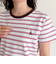 ボーダー/無地ワンポイントロゴコンパクトTシャツ