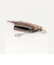 ハラコチャームフラグメント