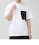 【TAION / タイオン】MOUNTAION FRAP POCKET T-SH