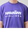 【GOOD ROCK SPEED】HAWAIIAN AIRLINE ロゴTシャツ