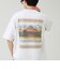 【PENDLETON/ペンドルトン】Back Print Tee