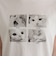 刺しゅう入りCAT PHOTO Tシャツ