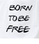 【1枚でキマる主役TEE】フォト×メッセージプリントTEE