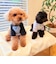 【FR PETS】メッセージ配色Ｔシャツ