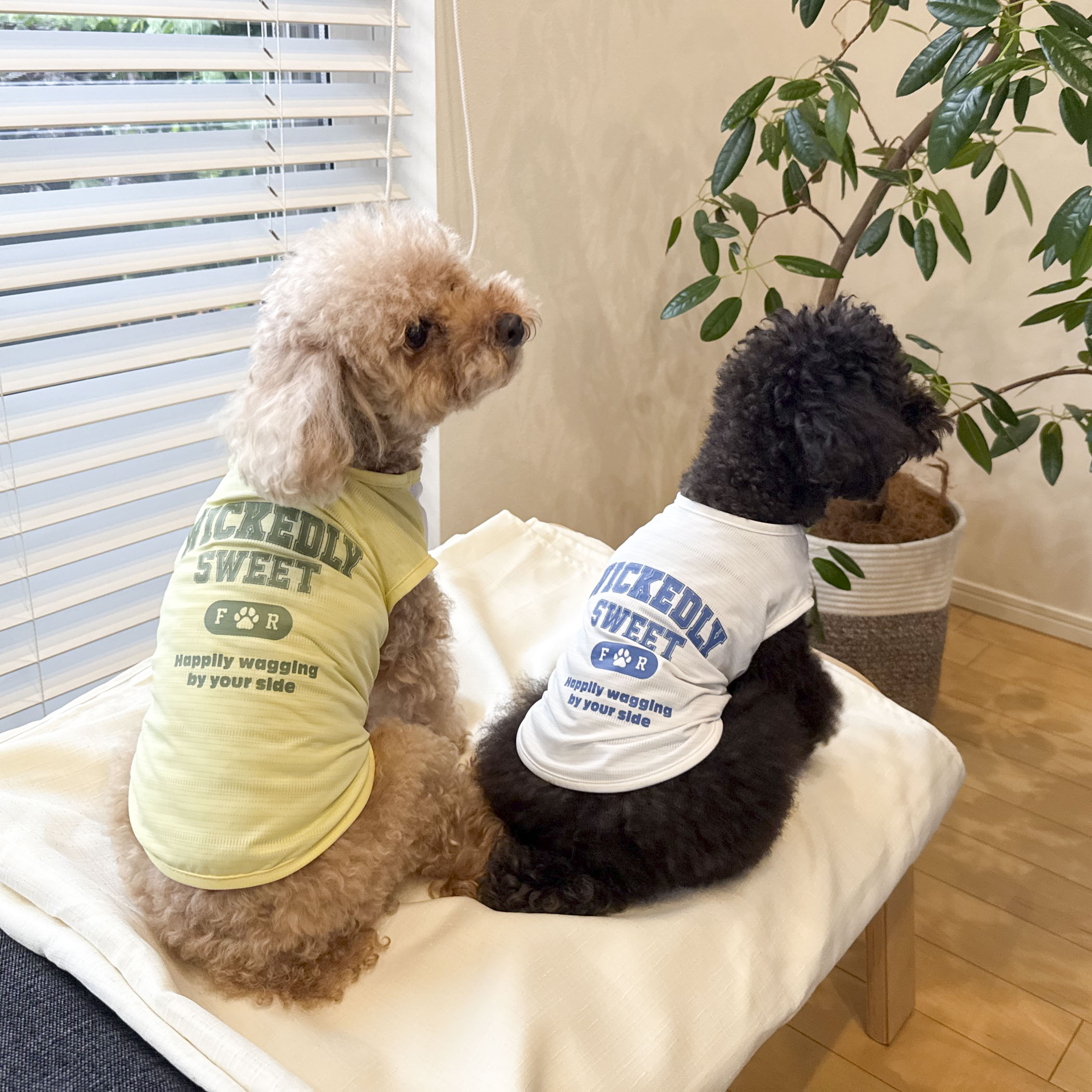 【FR PETS】接触冷感カレッジタンクトップ