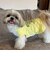 【FR PETS】接触冷感カレッジタンクトップ