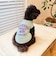 【FR PETS】接触冷感カレッジタンクトップ
