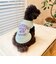 【FR PETS】接触冷感カレッジタンクトップ