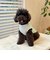 【FR PETS】接触冷感カレッジタンクトップ