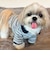 【FR PETS】マルチボーダーポロシャツ