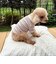 【FR PETS】マルチボーダーポロシャツ