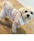 【FR PETS】マルチボーダーポロシャツ