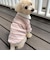 【FR PETS】マルチボーダーポロシャツ