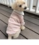 【FR PETS】マルチボーダーポロシャツ