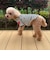 【FR PETS】ボーダーハートパッチプルオーバー