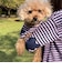 【FR PETS】ボーダーハートパッチプルオーバー
