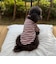 【FR PETS】ボーダーハートパッチプルオーバー