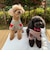 【FR PETS】ボーダーハートパッチプルオーバー