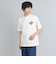 Coleman（コールマン）別注グラフィックTシャツ（WEB限定カラー）