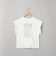 ピグメントアソートフリルTシャツ