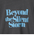 ピグメントアソートフリルTシャツ