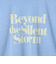 ピグメントアソートフリルTシャツ