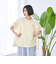 PENNEYS別注 コットンアソートTシャツ