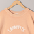 ピグメントアソートロゴプリントTシャツ