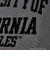 【UCLA 別注】 カレッジプリントTシャツ