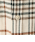 USA COTTONソフトフランネルシャツ（チェック）