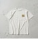 フォトグラフィックTシャツ