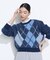 〔 +サイズ 〕 ジャカード アーガイルニットセーター