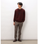 カレッジロゴ 刺繍プルオーバー