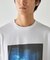 シルケット天竺 フォトプリントTシャツ