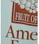 【FRUIT OF THE LOOM】グラフィックトートバッグ