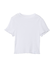 【HANES/ヘインズ】Hanes originalsクロップTシャツ by T