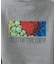 【FRUIT OF THE LOOM/フルーツ オブ ザ ルーム】 25FW P