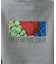 【FRUIT OF THE LOOM/フルーツ オブ ザ ルーム】 25FW P