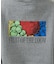 【FRUIT OF THE LOOM/フルーツ オブ ザ ルーム】 25FW P