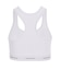【GUESS JEANS/ゲスジーンズ】GJ PADDED BRALETTE/B