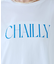 【MICA&DEAL /マイカアンドディール】"CHAILLY"print pu